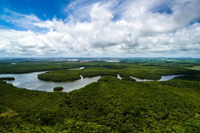 Projeto vai pagar para produtores rurais da Amazônia não desmatarem